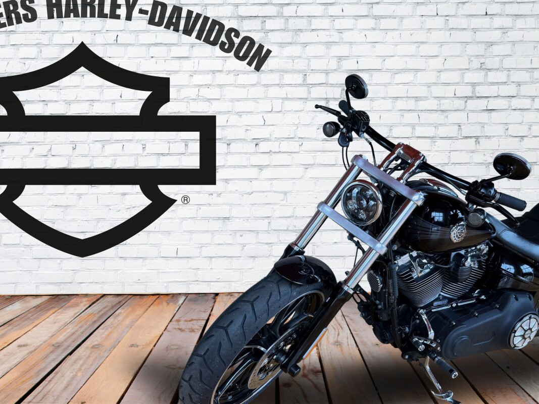 2015 Harley-Davidson Breakout Vivid Black - Photo 3