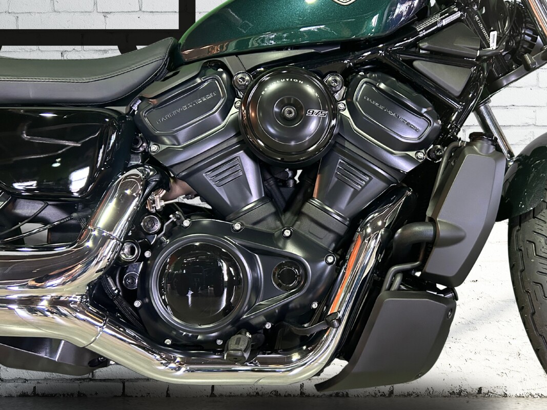2025 Harley-Davidson Nightster Snake Venom - Photo 4