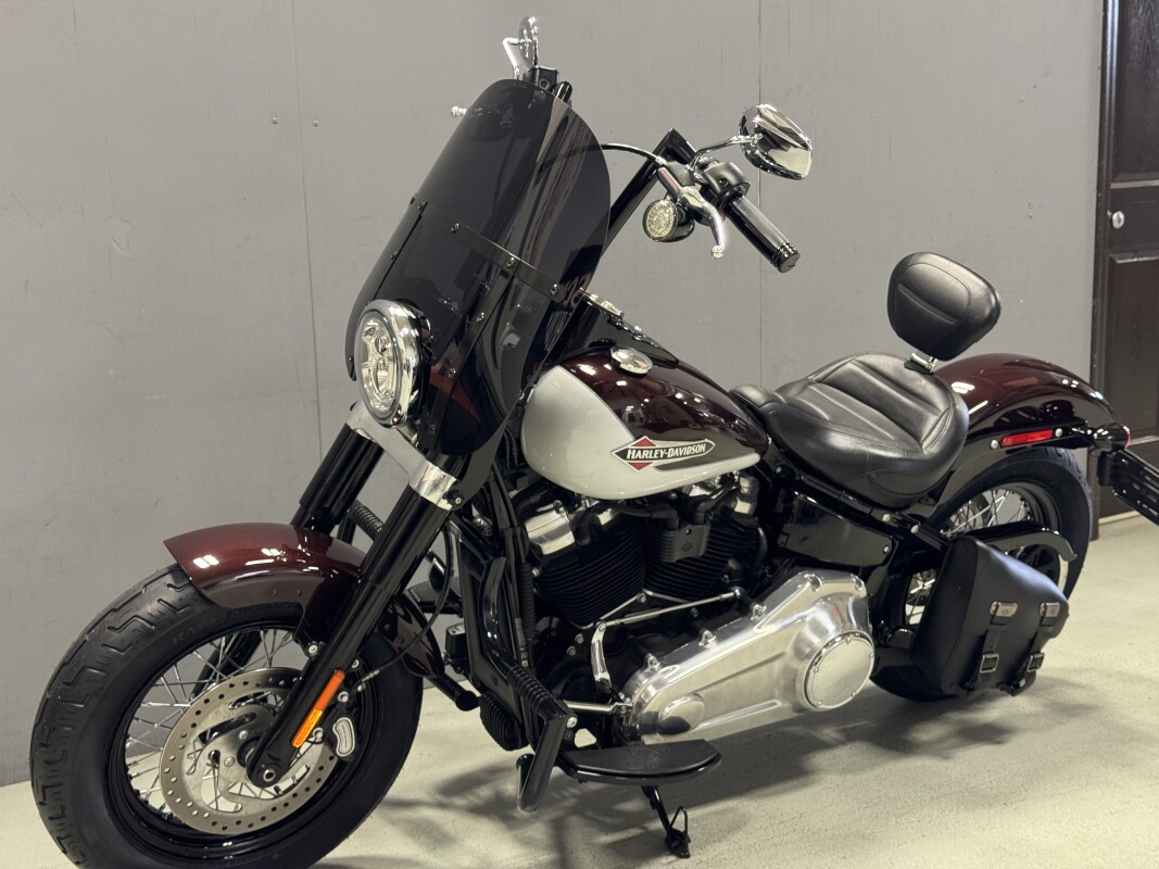 FLSL 2021 Softail Slim - Photo 4