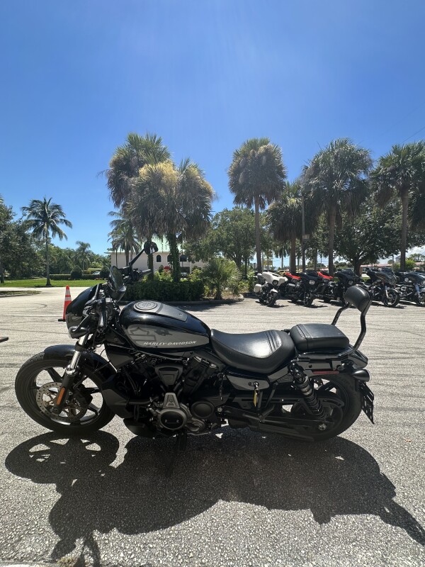 Nightster - Photo 2