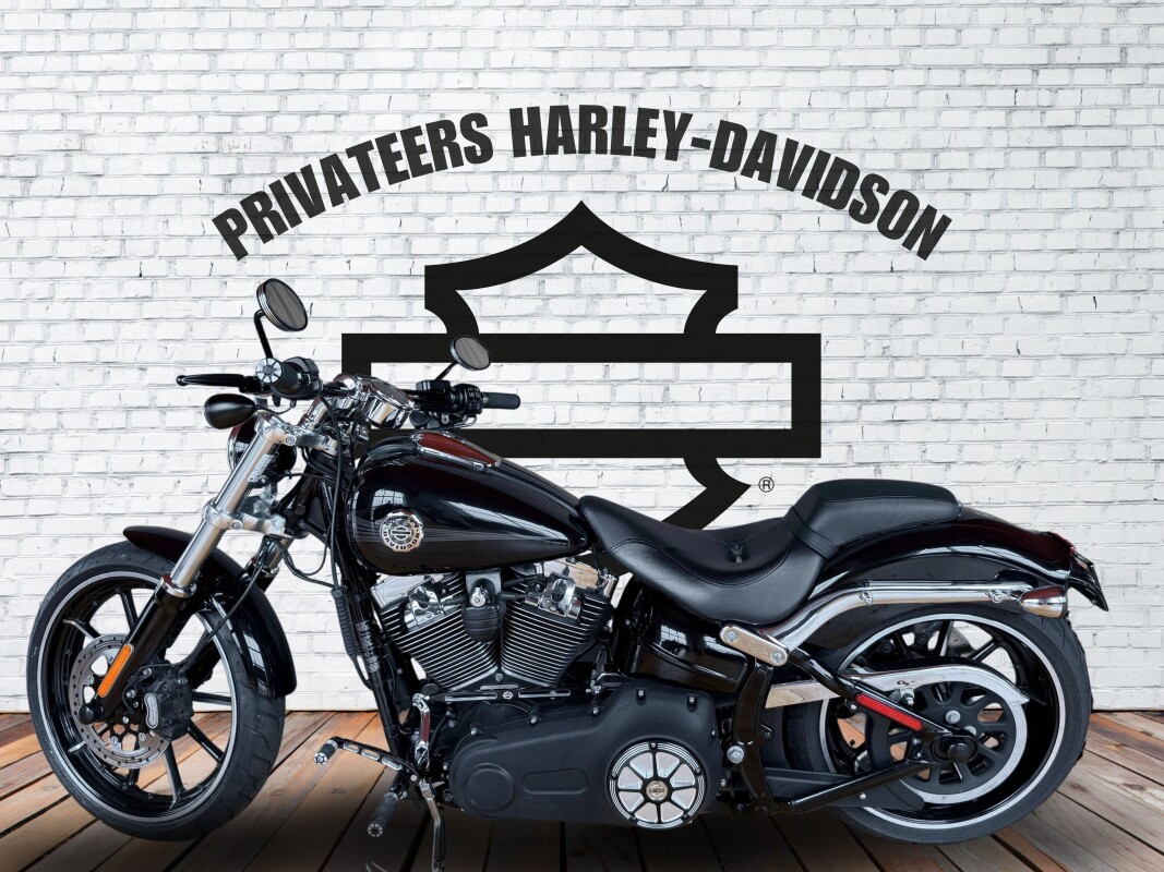 2015 Harley-Davidson Breakout Vivid Black - Photo 2
