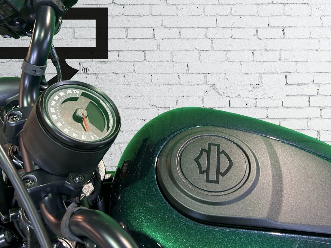 2025 Harley-Davidson Nightster Snake Venom - Photo 9