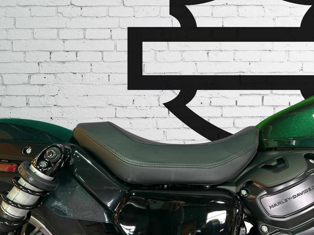 2025 Harley-Davidson Nightster Snake Venom - Photo 6