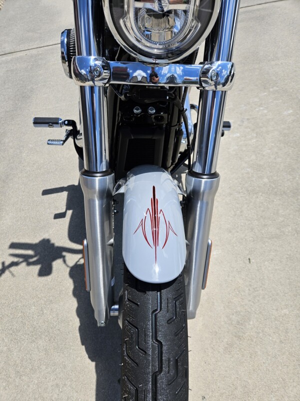2024 Harley-Davidson Softail Standard Billiard Gray - Photo 5
