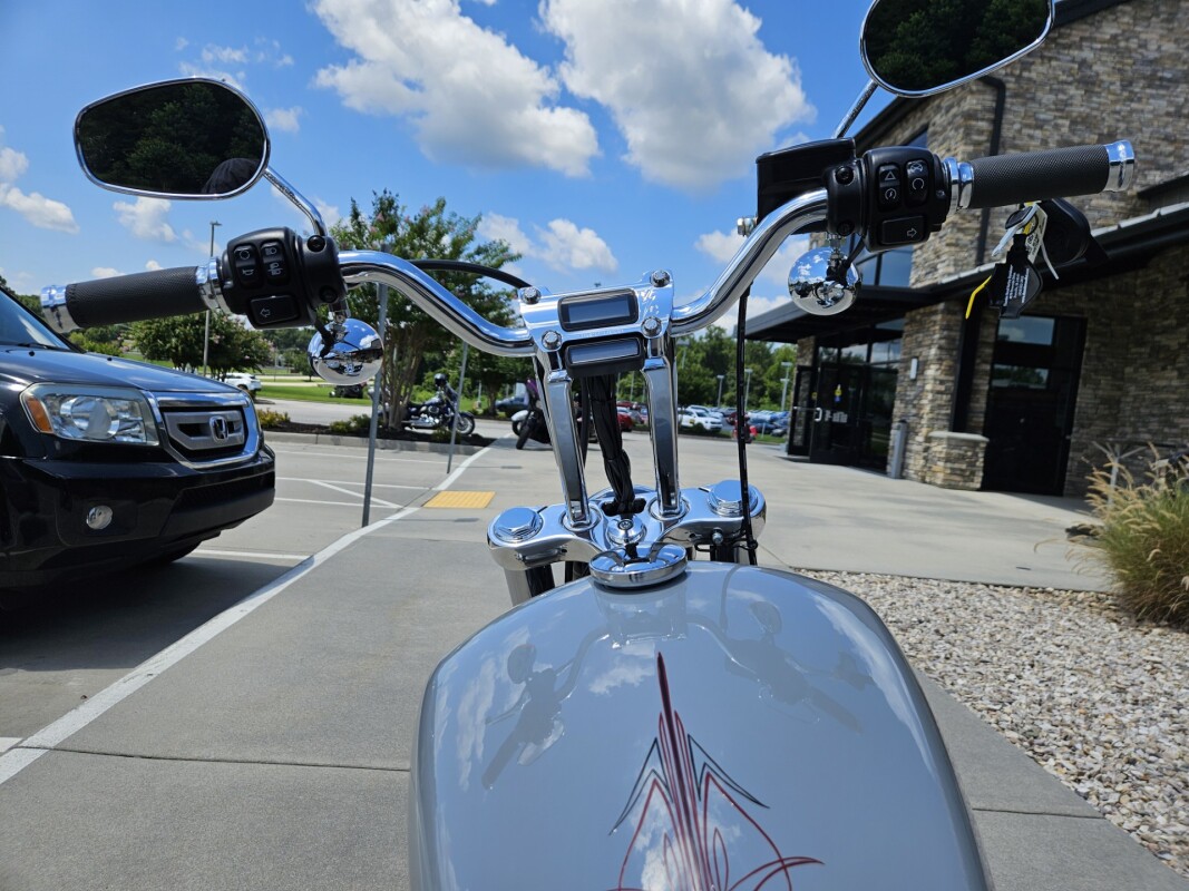 2024 Harley-Davidson Softail Standard Billiard Gray - Photo 9