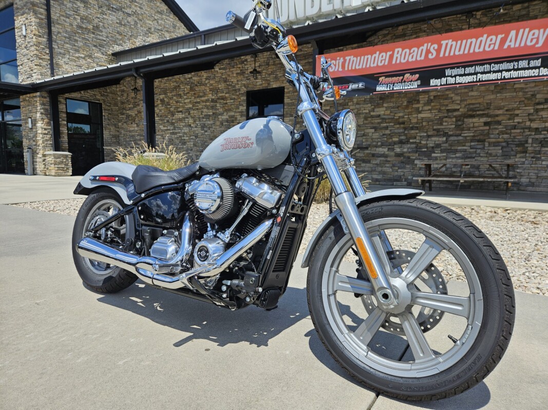 2024 Harley-Davidson Softail Standard Billiard Gray - Photo 6