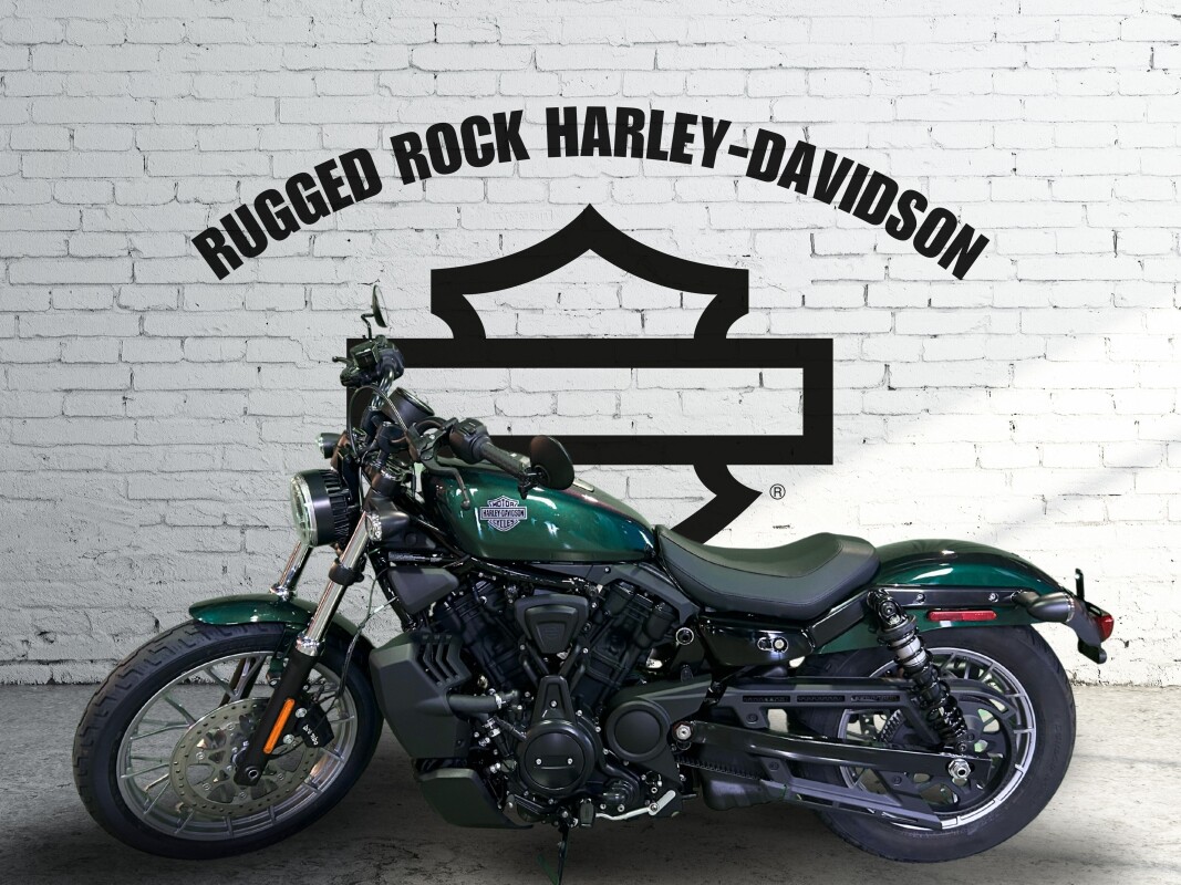 2025 Harley-Davidson Nightster Snake Venom - Photo 2