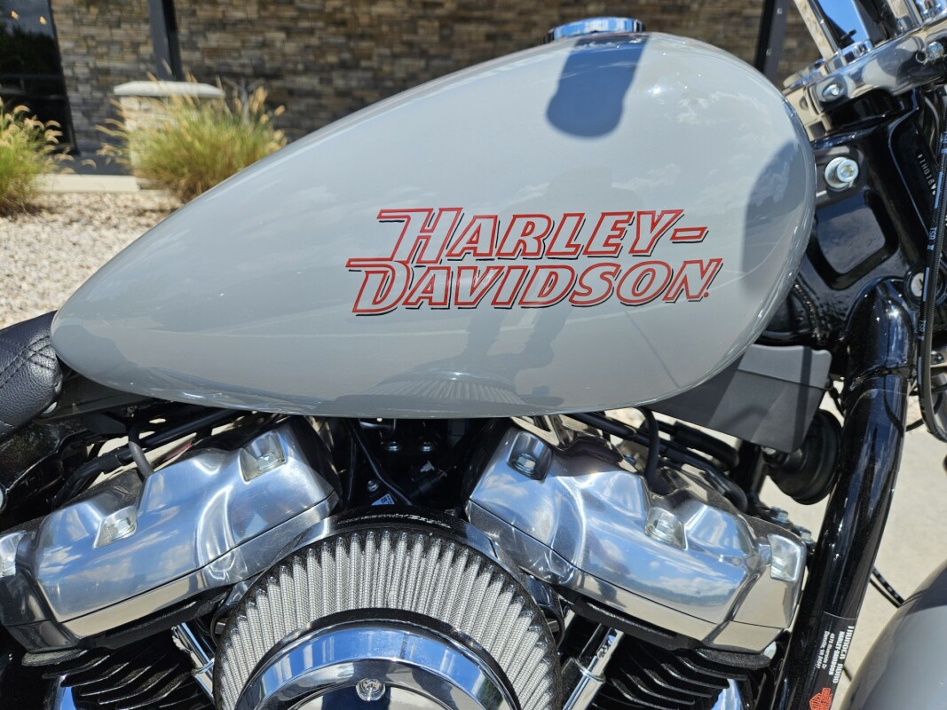 2024 Harley-Davidson Softail Standard Billiard Gray - Photo 2
