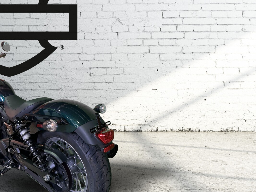 2025 Harley-Davidson Nightster Snake Venom - Photo 8