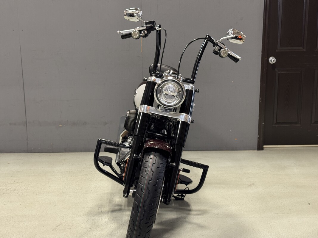 FLSL 2021 Softail Slim - Photo 10
