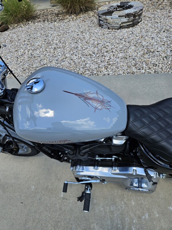 2024 Harley-Davidson Softail Standard Billiard Gray - Photo 10