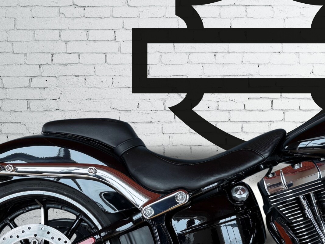 2015 Harley-Davidson Breakout Vivid Black - Photo 6