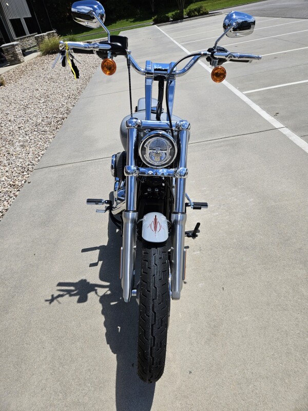 2024 Harley-Davidson Softail Standard Billiard Gray - Photo 4
