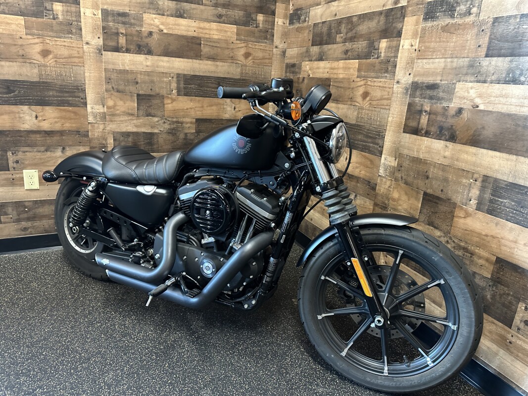 2022 Harley-Davidson Iron 883 Gunship Gray XL883N - Photo 3