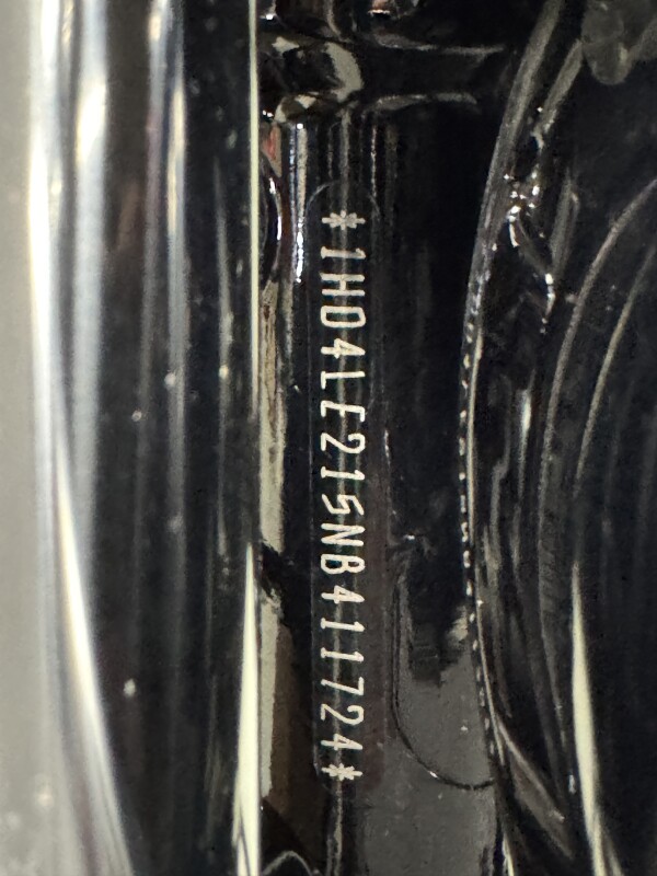 XL 883N 2022 Iron 883 - Photo 9