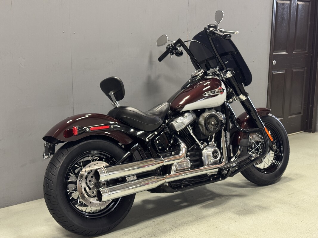 FLSL 2021 Softail Slim - Photo 5