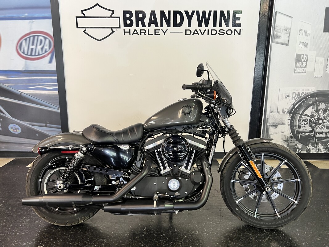 2019 Harley-Davidson Iron 883 Industrial Gray XL883N