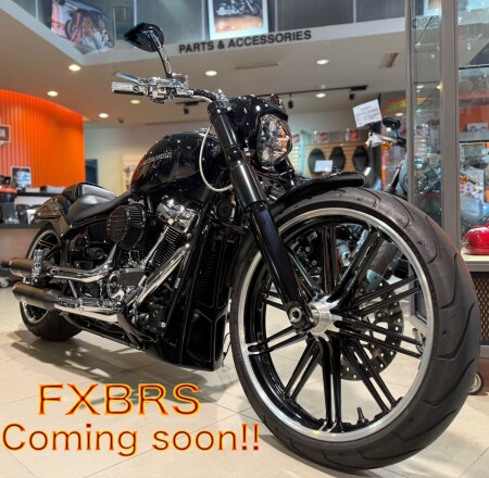 ✨特選中古車✨ブレイクアウトのご紹介 | Harley-Davidson® 新宿