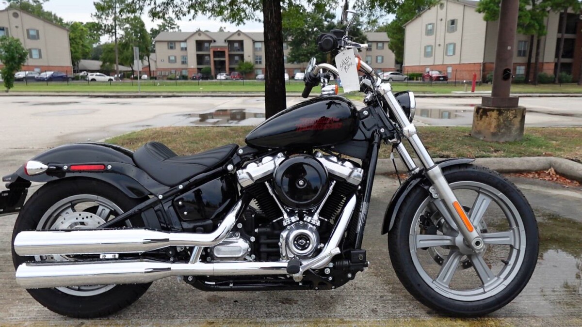 2024 Harley-Davidson® Softail® Standard FXST | Alligator Alley