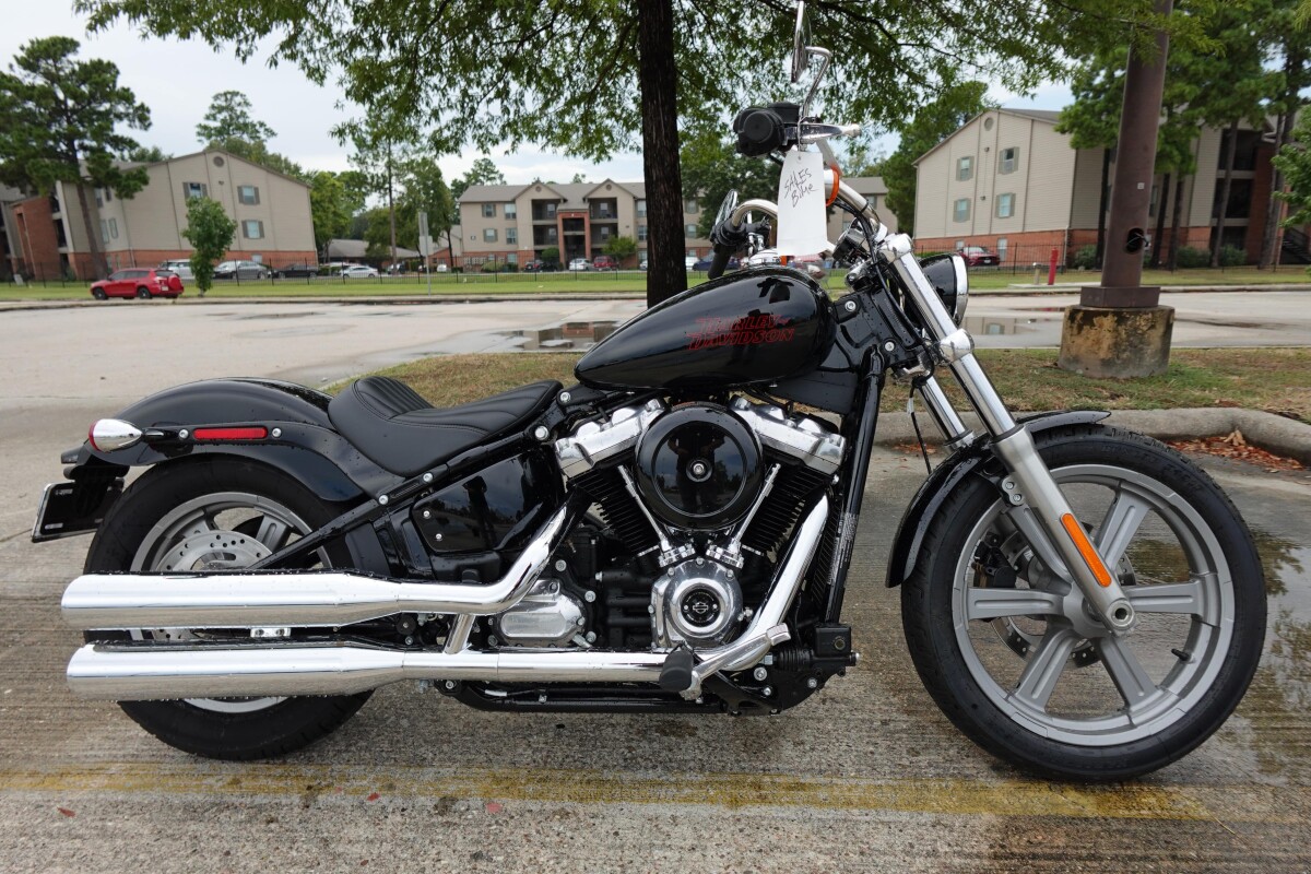 2024 Harley-Davidson® Softail® Standard FXST | Alligator Alley