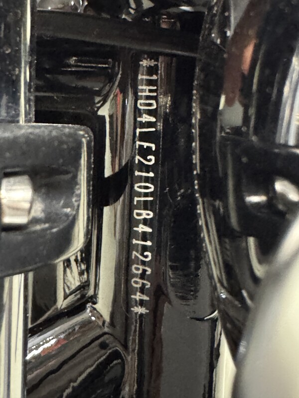 XL 883N 2020 Iron 883 - Photo 9
