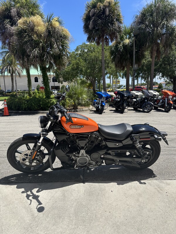 Nightster - Photo 2