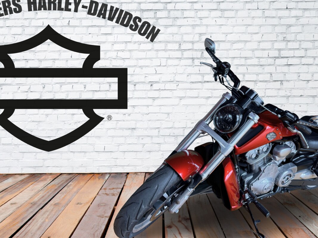 2013 Harley-Davidson V-Rod Muscle Amber Whiskey - Photo 3