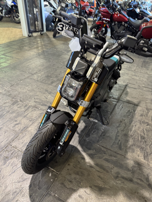 2024 BMW Motorrad CE 02 - Photo 10