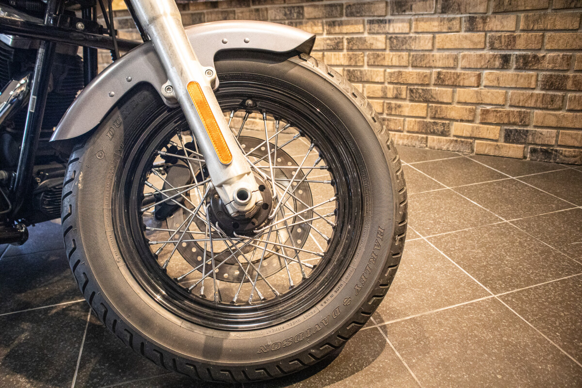 2015 Softail Slim (FLS) - Photo 6