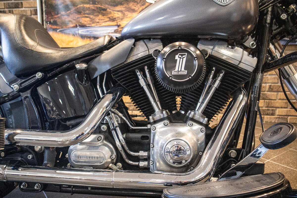 2015 Softail Slim (FLS) - Photo 7