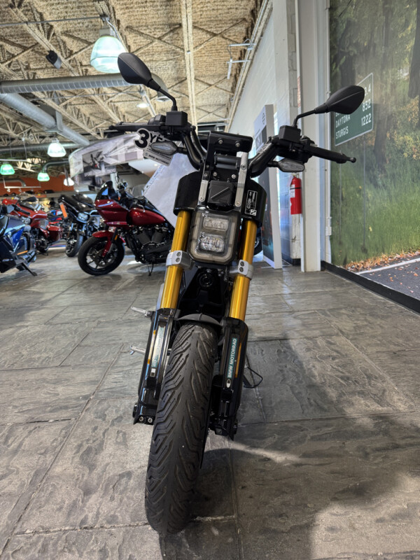 2024 BMW Motorrad CE 02 - Photo 6