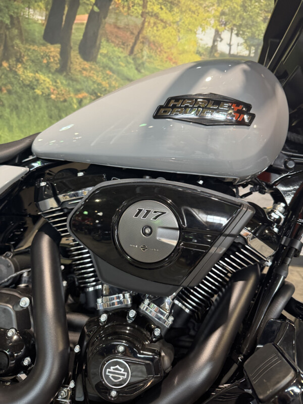 2025 Harley-Davidson Street Glide - Photo 4