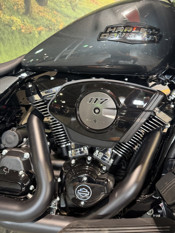 2025 Harley-Davidson Road Glide - Photo 4