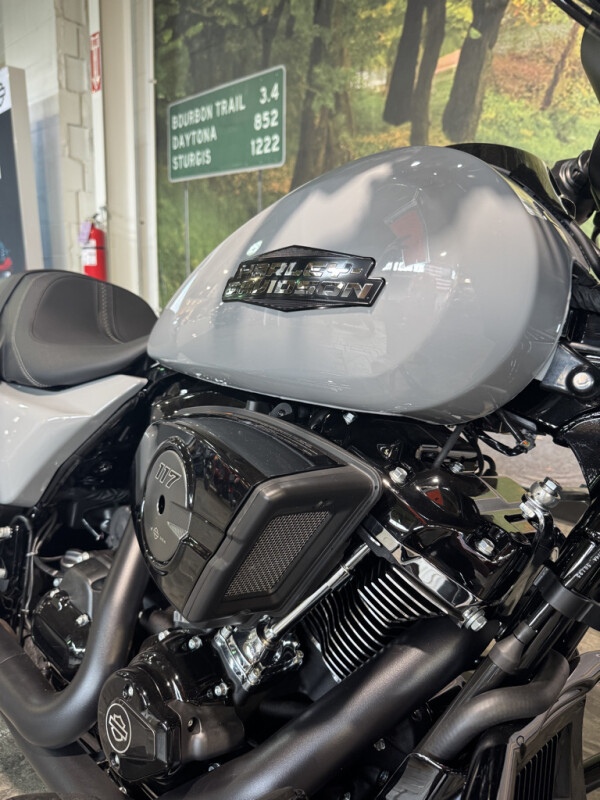 2025 Harley-Davidson Street Glide - Photo 2