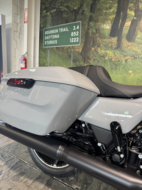 2025 Harley-Davidson Street Glide - Photo 6