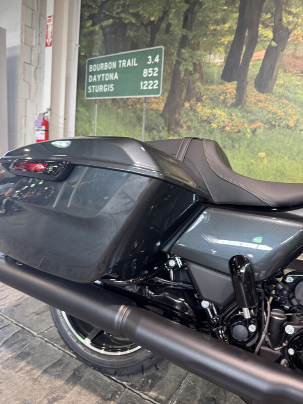 2025 Harley-Davidson Road Glide - Photo 6