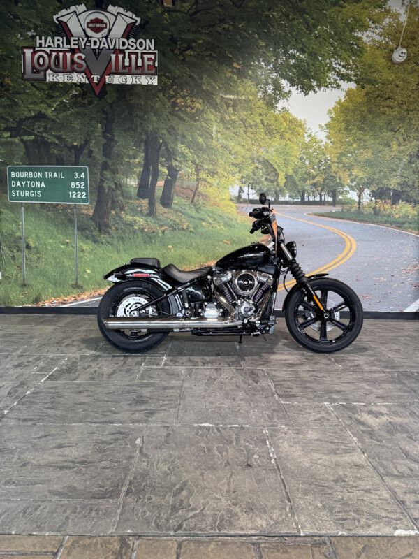 2025 Harley-Davidson Street Bob