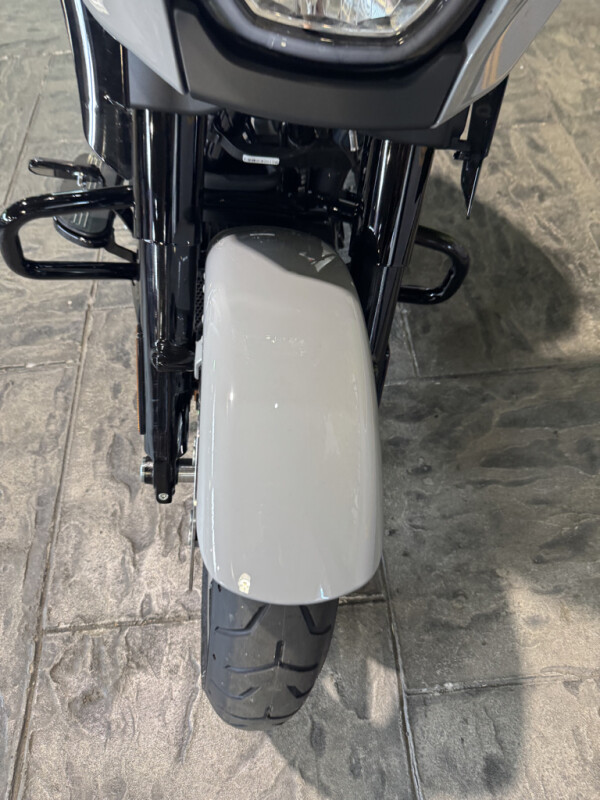 2025 Harley-Davidson Street Glide - Photo 10