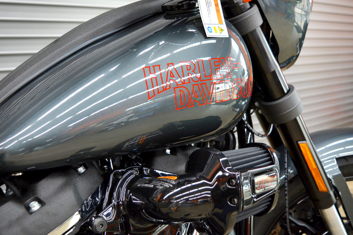 FXLRS 2025 Low Rider S - Photo 9