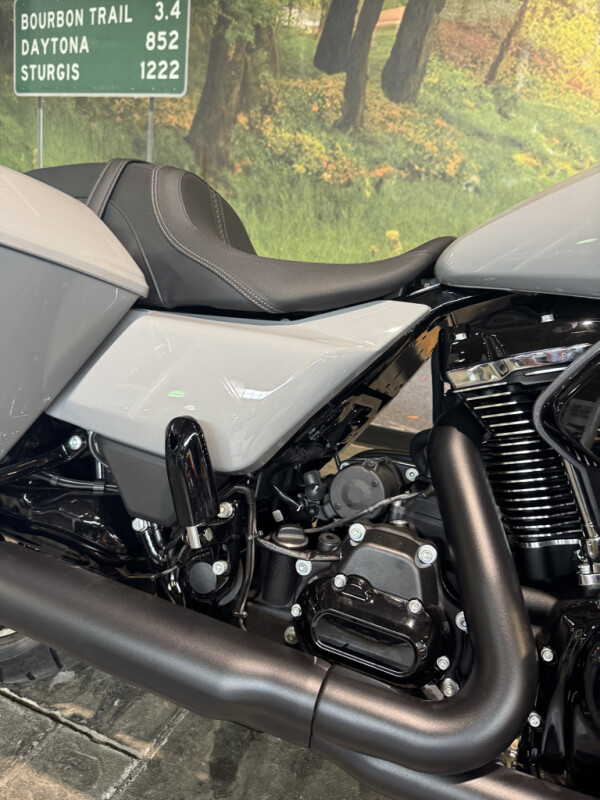 2025 Harley-Davidson Street Glide - Photo 5