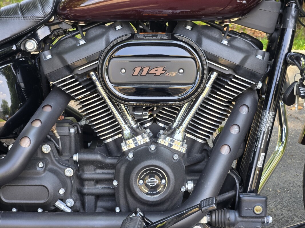 FXLRS 2021 Low Rider S - Photo 7
