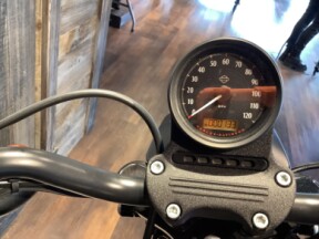 Harley-Davidson® Iron 883™ 2022 XL 883N U111-22 Gunship Gray thumb 2