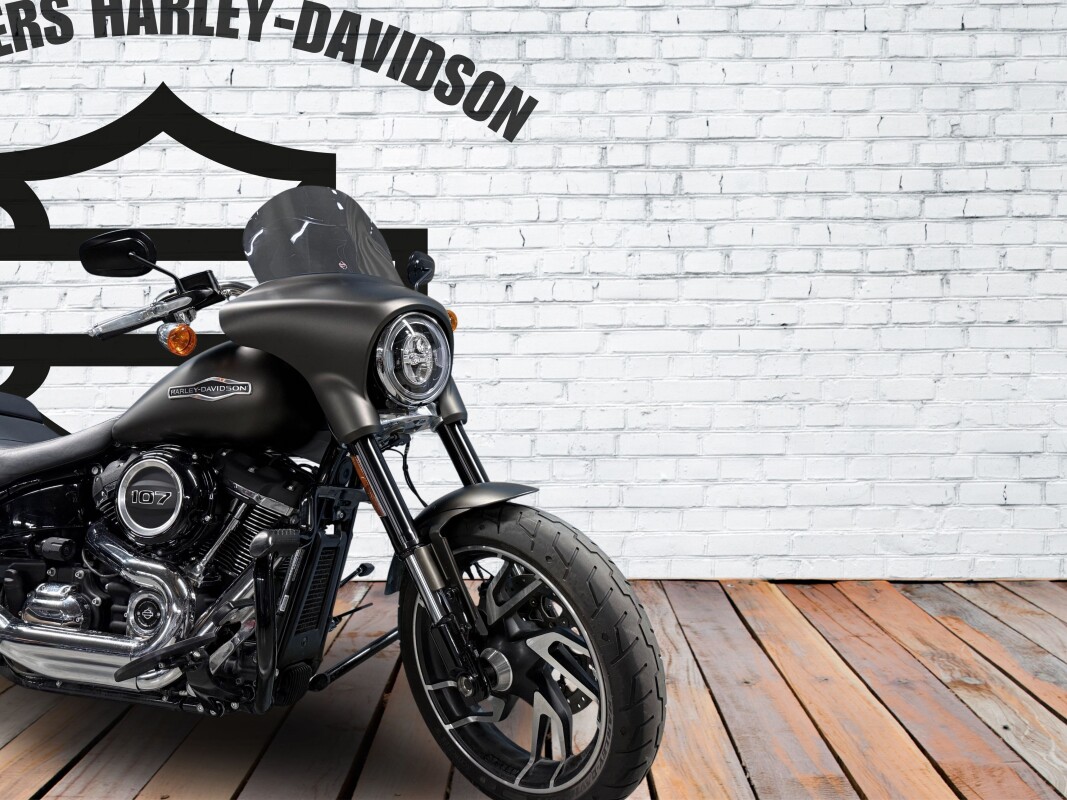 2020 Harley-Davidson Sport Glide River Rock Gray Denim - Photo 3