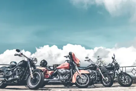 2025 Harley-Davidson® Motorcycles