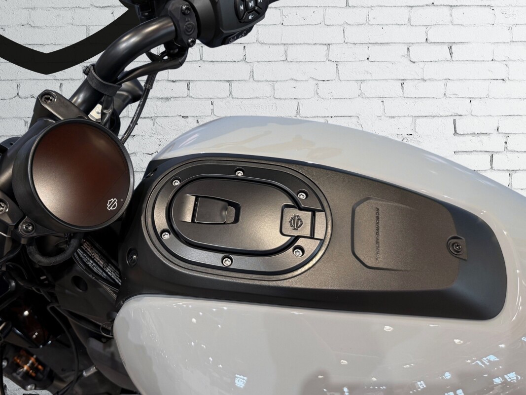 2025 Harley-Davidson Sportster S Billiard Gray - Photo 8