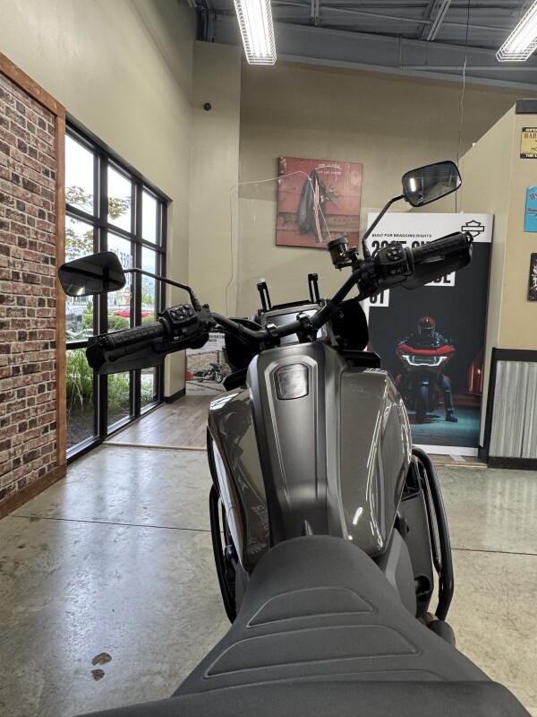 2023 Harley-Davidson Pan America 1250 Special RA1250S - Photo 4