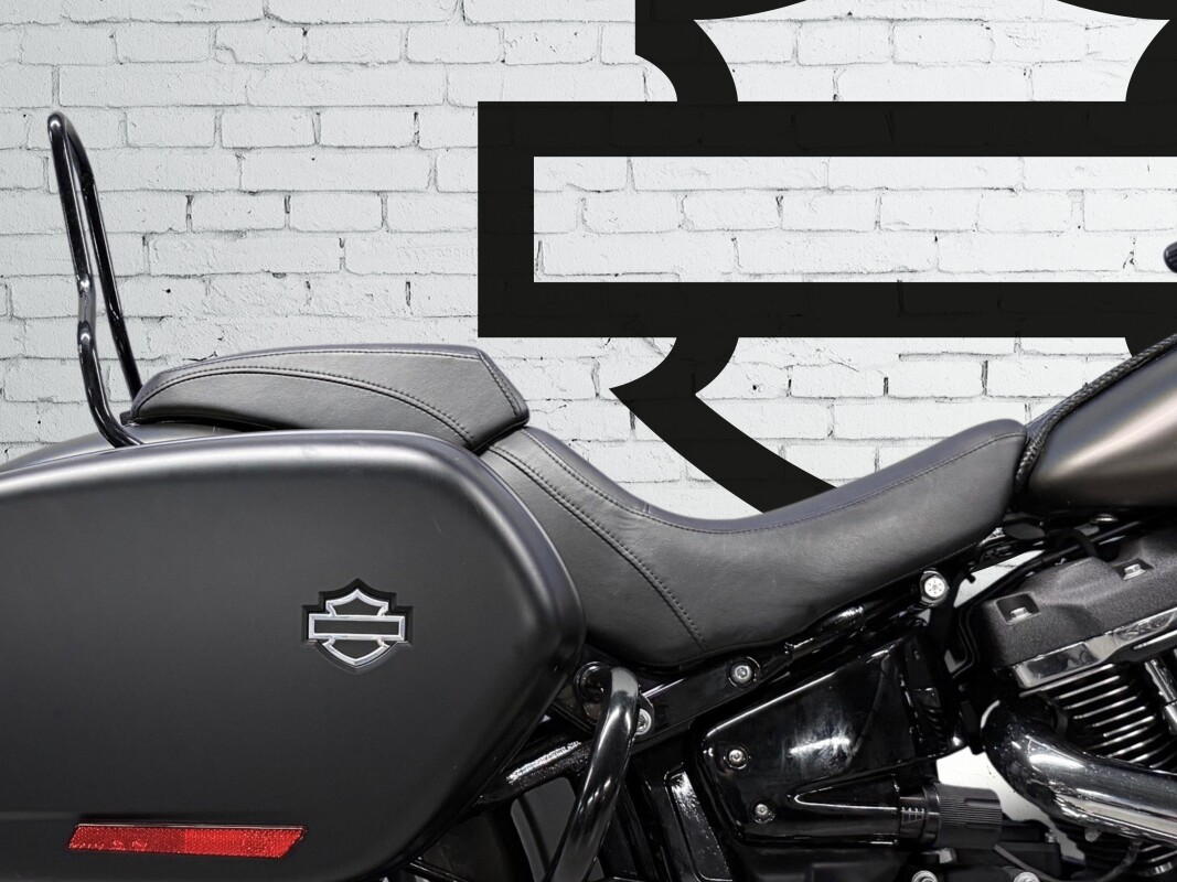 2020 Harley-Davidson Sport Glide River Rock Gray Denim - Photo 6