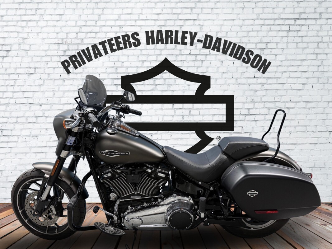 2020 Harley-Davidson Sport Glide River Rock Gray Denim - Photo 2