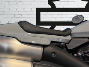 2025 Harley-Davidson<sup>®</sup> Sportster™ S thumb 0