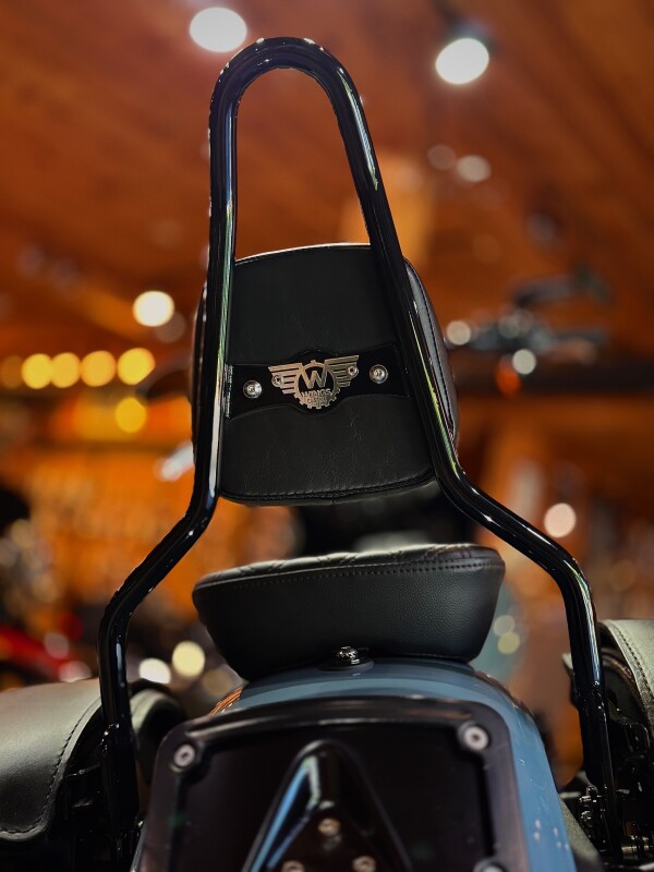 2024 Harley-Davidson Low Rider S Sharkskin Blue - Photo 10